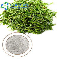 Green tea extract green tea polyphenols catechin  epigallocatechin