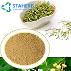 Honeysuckle flower extract,honeysuckle extract powder pure chlorogenic acid 10%-98%