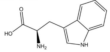 L-Tryptophan