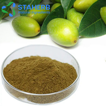 competitive Price to sell Olive Leaf Extract Oleuropein & Hydroxytyrosol 32619-42-4