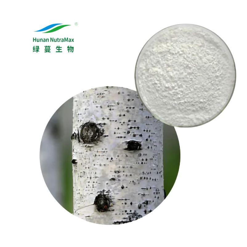 White Birch Bark Extract Powder 98% Betulinic Acid  