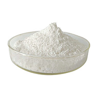 White Birch Bark Extract Powder 98% Betulinic Acid