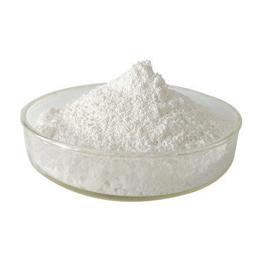 White Birch Bark Extract Powder 98% Betulinic Acid