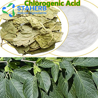 eucommia chlorogenic acid eucommia leaf extract