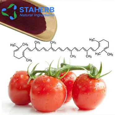 competitive Price to sell Tomato Extract Lycopene 502-62-8