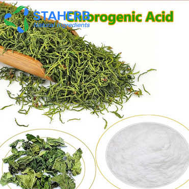 Eucommia Extract chlorogenic acid  327-97-9