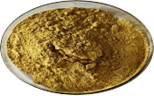 Golden Oyster Mushroom Powder