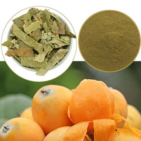 Loquat Leaf P.E  plant extracts Loquat Leaf Extract  77-52-1