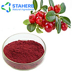 Dried Cranberry extract powder Proanthocyanidin 84929-27-1