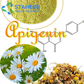 Chamomile P.E. apigenin 520-36-5