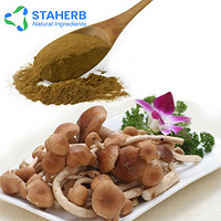 Tea Tree mushroom Extract Agrocybe chaxinggu