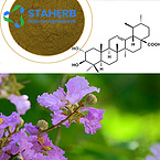 Banaba Leaf Extract Corosolic Acid Corosolic Acid 1% -98%