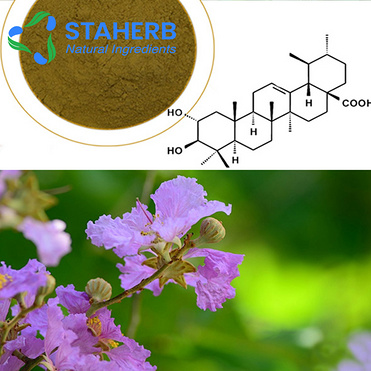 Banaba Leaf Extract Corosolic Acid Corosolic Acid 1% -98%