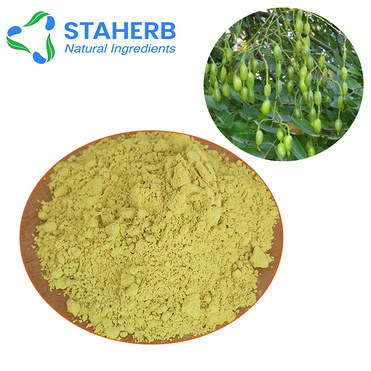 China manufacture supplier Sphora japonica extract genistein