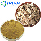 China manufacture supplier radix isatidis extract powder, radix isatidis extract