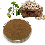 Hot selling top quality competitive price bulk ginkgo biloba extract