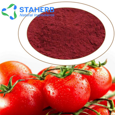 Factory direct sale competitive price tomato extract lycopene