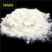 Wholesale CAS 1094-61-7 Dietary Supplements Nicotinamide Mononucleotide Powder Nmn/Nad+/Nr-Cl