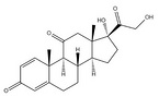 Prednisone
