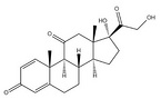 Prednisone