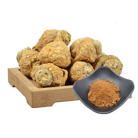 Ingredient Raw Material 20:1 Yellow Maca Extract Powder