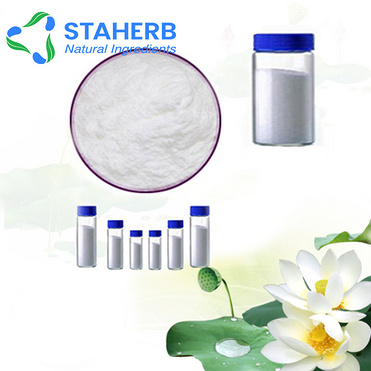 High Quality Natural Lotus Leaf Extract with 2%-98% Nuciferine as functional food additive