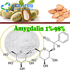 Amygdalin Vitamin B17 29883-15-6