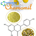 Chamomile Extract Apigenin Power