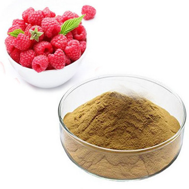 Hot selling top quality health food Raspberry Extract Powder Raspberry Ketone 90%