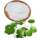 Health care product Gotu Kolamade extract Asiaticoside / Gotu Kola P.E