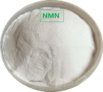 Wholesale CAS 1094-61-7 Dietary Supplements Nicotinamide Mononucleotide Powder Nmn/Nad+/Nr-Cl