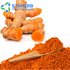 Herbal Extract Turmeric Extract curcumin turmeric powder