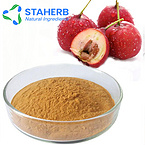 Best selling product Hawthorn extract vitexin, Hawthorn Flavones, Maslinic acid