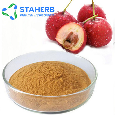 Best selling product Hawthorn extract vitexin, Hawthorn Flavones, Maslinic acid