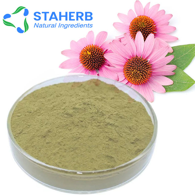 Hot selling top quality health products Echinacea extract Chicoric Acid