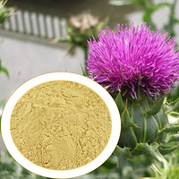 Milk Thistle Extract Silybin 22888-70-6