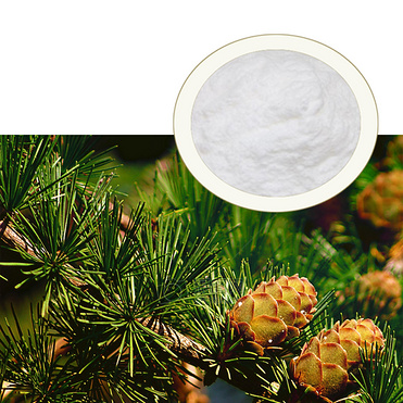 Herbal products Anti-inflammatory Larix olgensis extract CAS 480-18-2 98% Dihydroquercetin