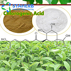 hot sell Chlorogenic Acid 98% 327-97-9