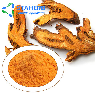 Polygonum Cuspidatum Extract 50%-98% Emodin