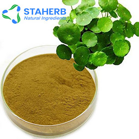 Centella Asiatica Extract CAS 464-92-6 Asiatic acid gotu kola extract