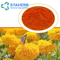 10:1 20:1 10% 20% 80% Lutein And Zeaxanthin Marigold Flower Extract Lutein