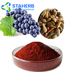 Natural Antioxidant Anti-aging plant extract OPC Grape Seed Extract extract of grape seed