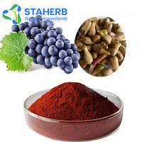 Natural Antioxidant Anti-aging plant extract OPC Grape Seed Extract extract of grape seed