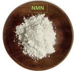 Wholesale CAS 1094-61-7 Dietary Supplements Nicotinamide Mononucleotide Powder Nmn/Nad+/Nr-Cl