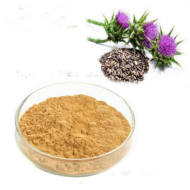 Milk Thistle Extract Silibinin silymarin