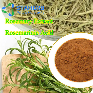 Cosmetic Ingredient White skin Rosemary Extract Rosmarinic Acid