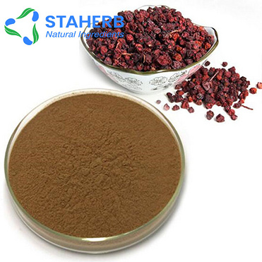 China manufacture supplier competitive price Schisandra Extract