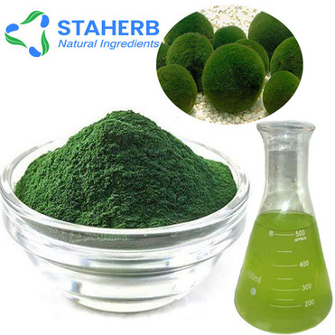 100% Natural organic competitive price Chlorella Powder