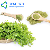 Hot sale China manufacture supplier moringa leaf powder