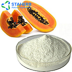 Papaya Extract 5:1 10:1 20:1 Papaya Extract Papaya Power